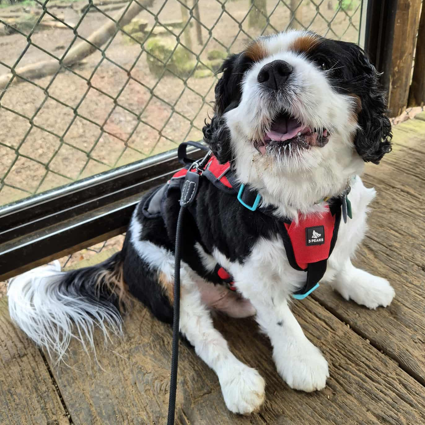 2024_2025 - Murphy - 12